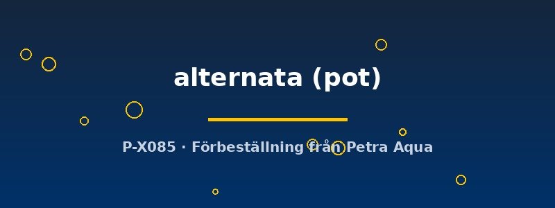 petra-ph2-182867 petra-ph2-182867