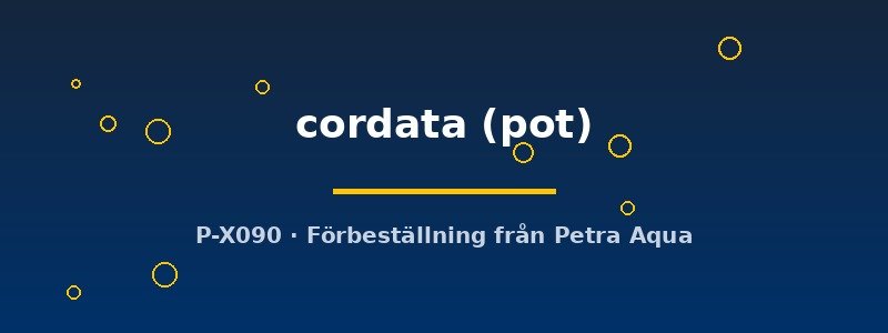 petra-ph2-182871 petra-ph2-182871