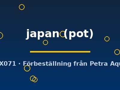 Hydrocotyle japan pot