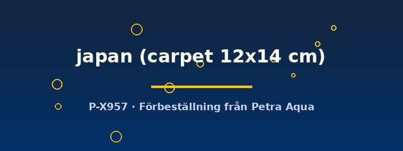 petra-ph2-182875 petra-ph2-182875