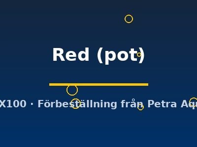 Hygrophila Red pot