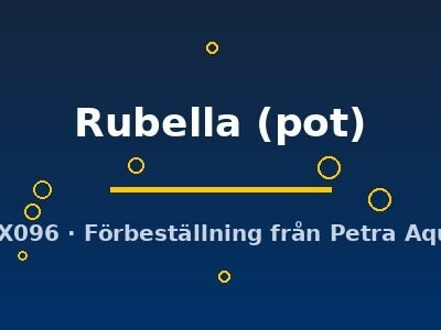 Rubella (pot)