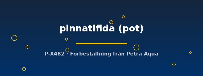 petra-ph2-182886 petra-ph2-182886