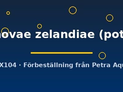 novae zelandiae (pot)