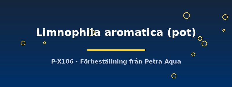 petra-ph2-182898 petra-ph2-182898