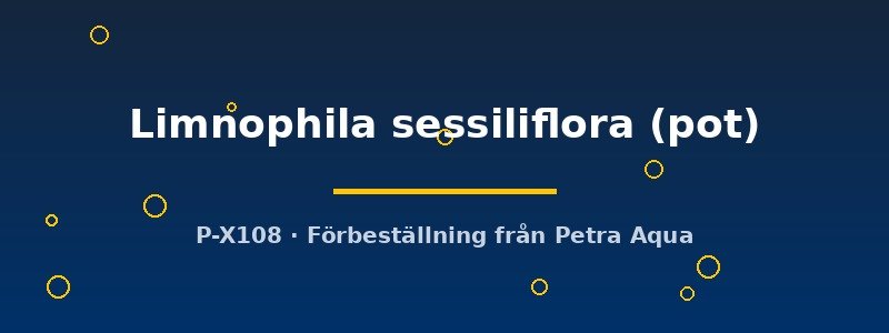 petra-ph2-182899 petra-ph2-182899