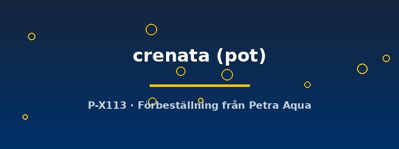 petra-ph2-182911 petra-ph2-182911