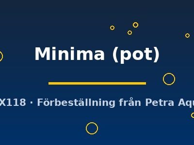 Ophiopoghon Minima pot