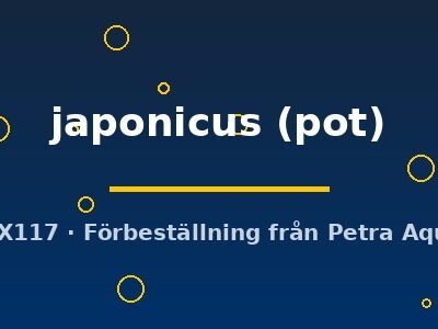 japonicus (pot)