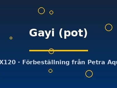 Gayi (pot)