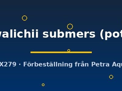 walichii submers (pot)