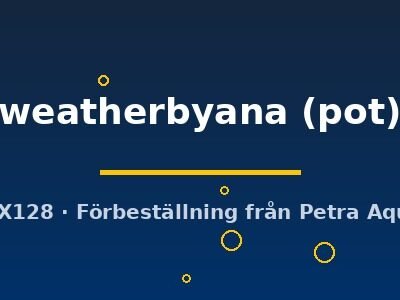 weatherbyana (pot)