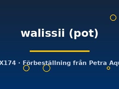 walissii (pot)