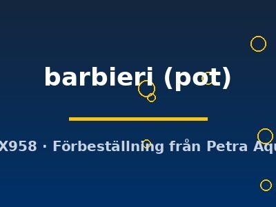 Taxiphyllum barbieri pot