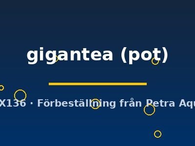 Vallisneria gigantea pot