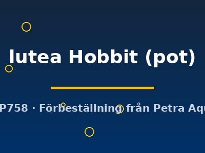 lutea Hobbit (pot)