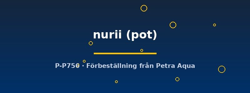 petra-ph2-183016 Cryptocoryne nurii pot