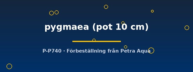 petra-ph2-183018 petra-ph2-183018