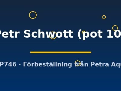Echinodorus cv. Petr Schwott pot10 cm