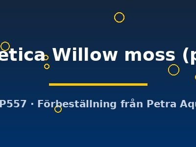 Fontinalis antipyretica Willow moss portion