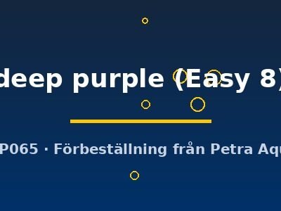 Bucephalandra deep purple Easy8