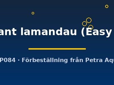 giant lamandau (Easy 8)
