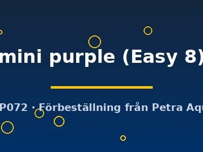 Bucephalandra mini purple Easy8
