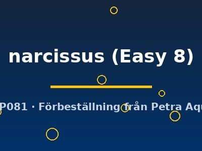 narcissus (Easy 8)