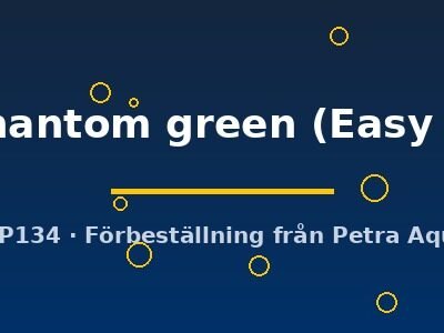 Bucephalandra phantom green Easy8