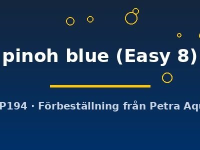 Bucephalandra pinoh blue Easy8