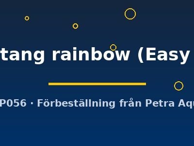 sintang rainbow (Easy  8)