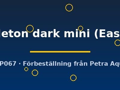 skeleton dark mini (Easy 8)