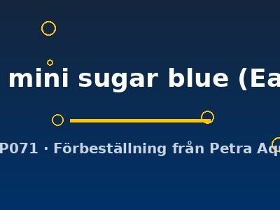 super mini sugar blue (Easy 8)