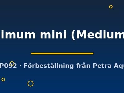 Aridarum minimum mini Medium8