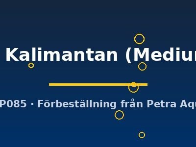 west Kalimantan (Medium 8)