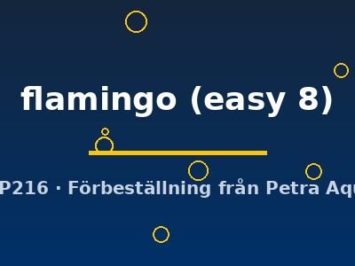 Cryptocoryne flamingo easy8