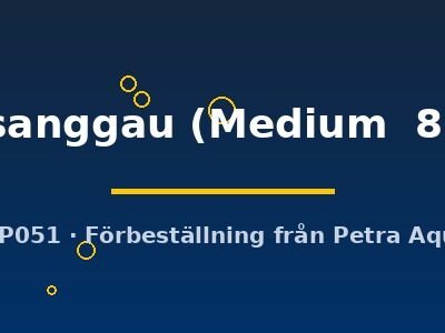 sanggau (Medium  8)