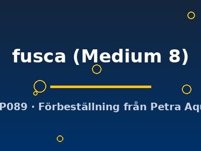 Cryptocoyne fusca Medium8