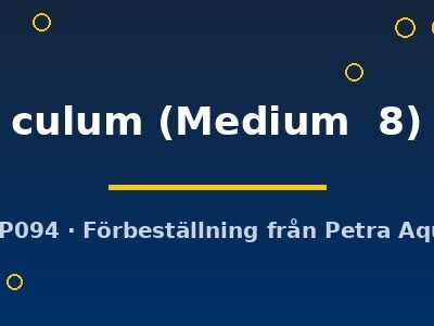 Fenestratarum culum Medium8