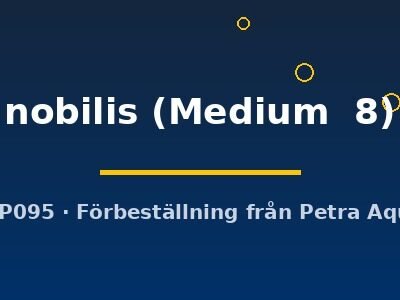 nobilis (Medium  8)
