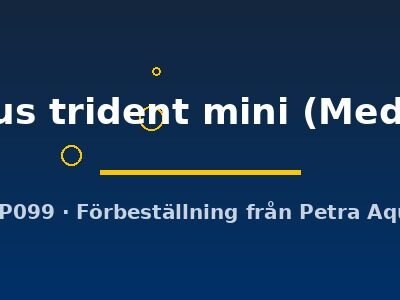 pteropus trident mini (Medium  8)