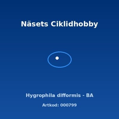 Hygrophila difformis - BA