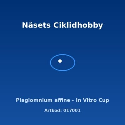Plagiomnium affine - In Vitro Cup
