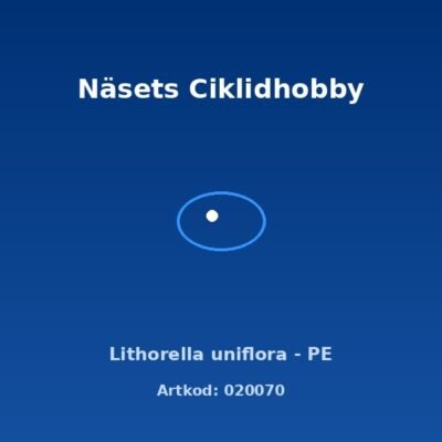 Lithorella uniflora - PE