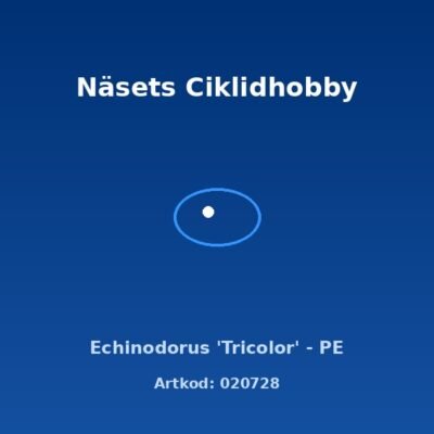 Echinodorus 'Tricolor' - PE