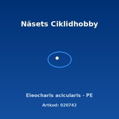 Eleocharis acicularis - PE