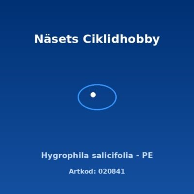 Hygrophila salicifolia - PE