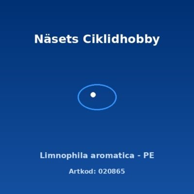 Limnophila aromatica - PE