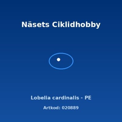 Lobelia cardinalis - PE