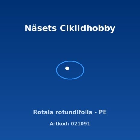 prod-021091 prod-021091